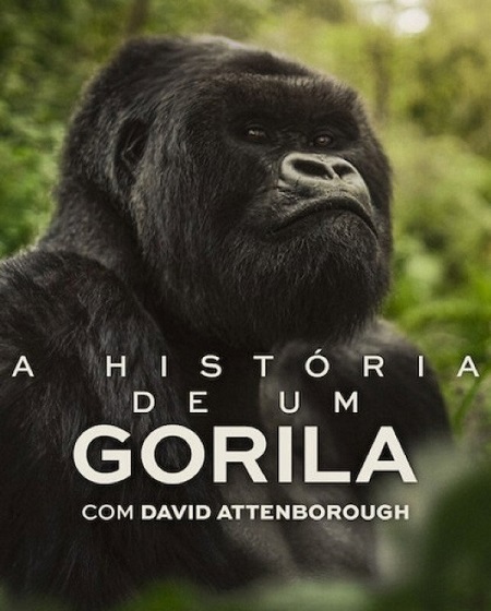 مشاهدة فيلم A Gorilla Story Told by David Attenborough 2026 مترجم